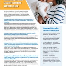 CHA Statewide Strategy to Improve Maternal Health